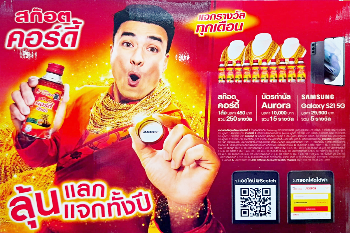 สก๊อต คอร์ดี้ วันนี้!